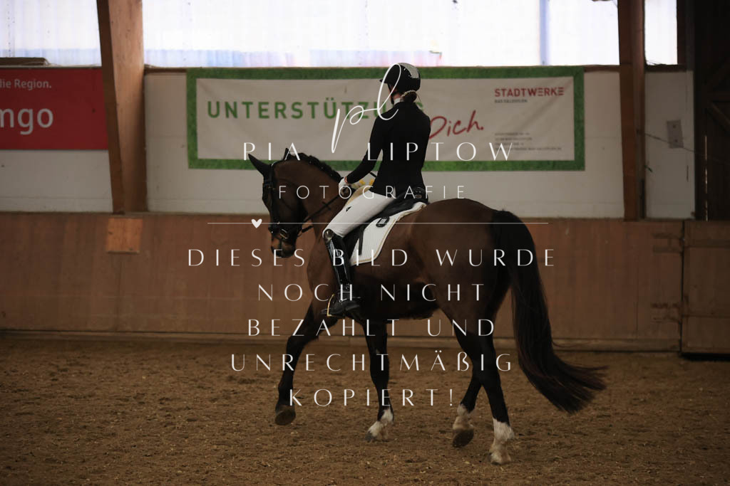 IMGT9282 | pl-fotografie