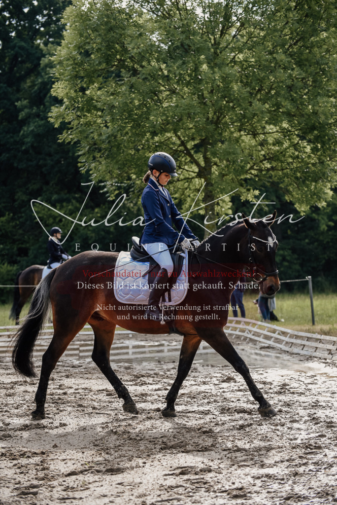 DSC_9116 | Pferde- und Turnierfotografie in Westsachsen. Pferdeportraits, Auftragszeichnungen und intuitive Kunst.