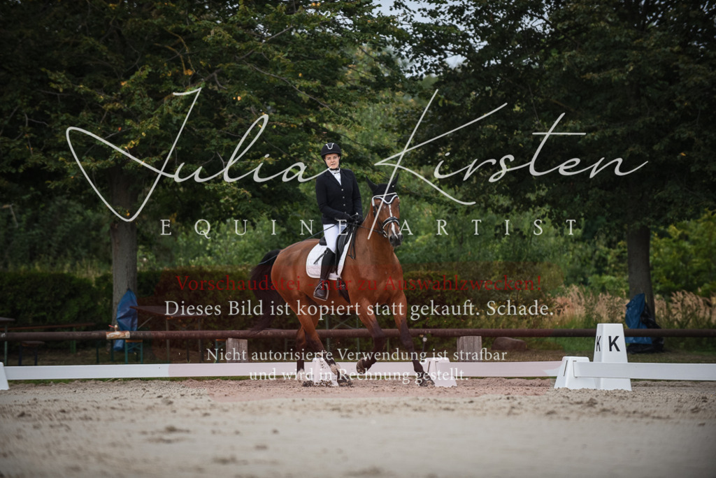 DSC_8077 | Pferde- und Turnierfotografie in Westsachsen. Pferdeportraits, Auftragszeichnungen und intuitive Kunst.