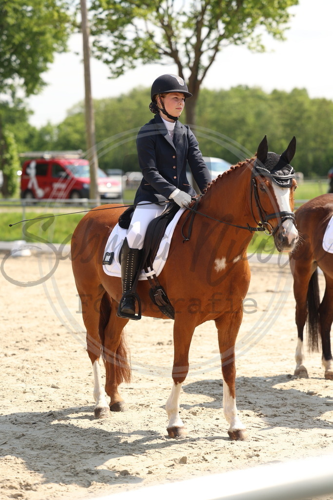 994A7342 | sabrinanicolaifotografie - Realisiert mit Pictrs.com