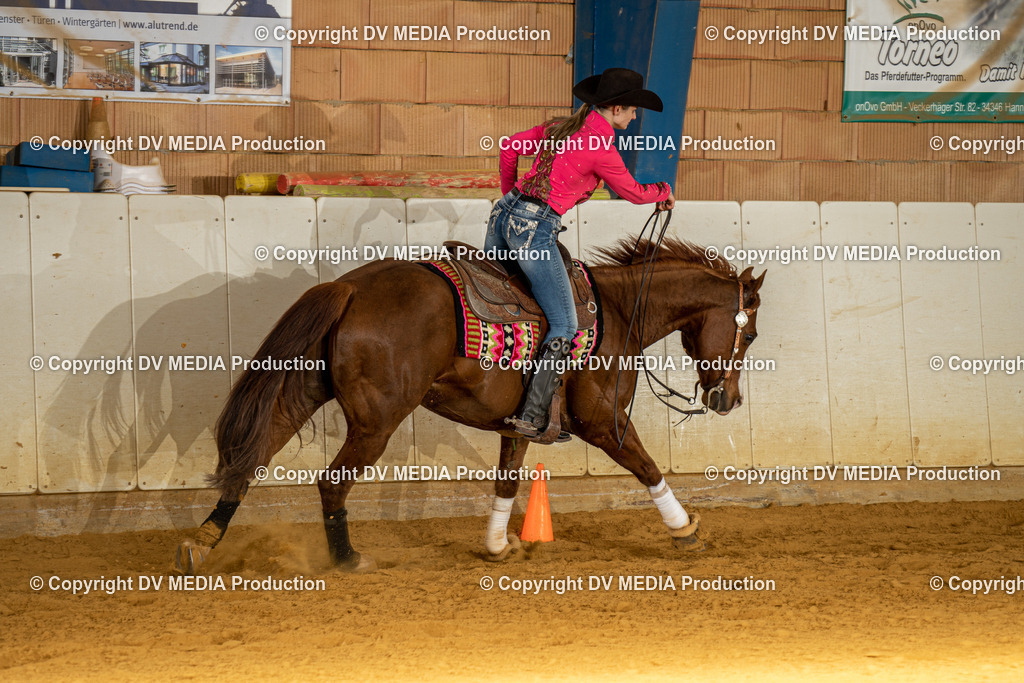 MIT00886 | dv-media-shop - Realisiert mit Pictrs.com