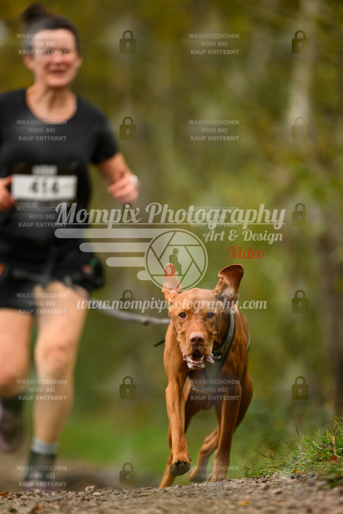 MompixPhotography_20TSB_E6_Run-170 | PayLife