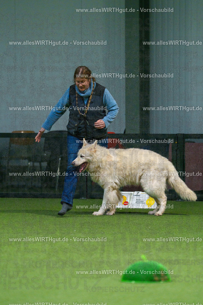 7R500152 | Professionelle Tierfotografie in Mönchengladbach von Daniel Wirth (allesWIRTHgut). Liebevolle & natürliche Bilder von Hunden & Katzen für unvergessliche Erinnerungen.