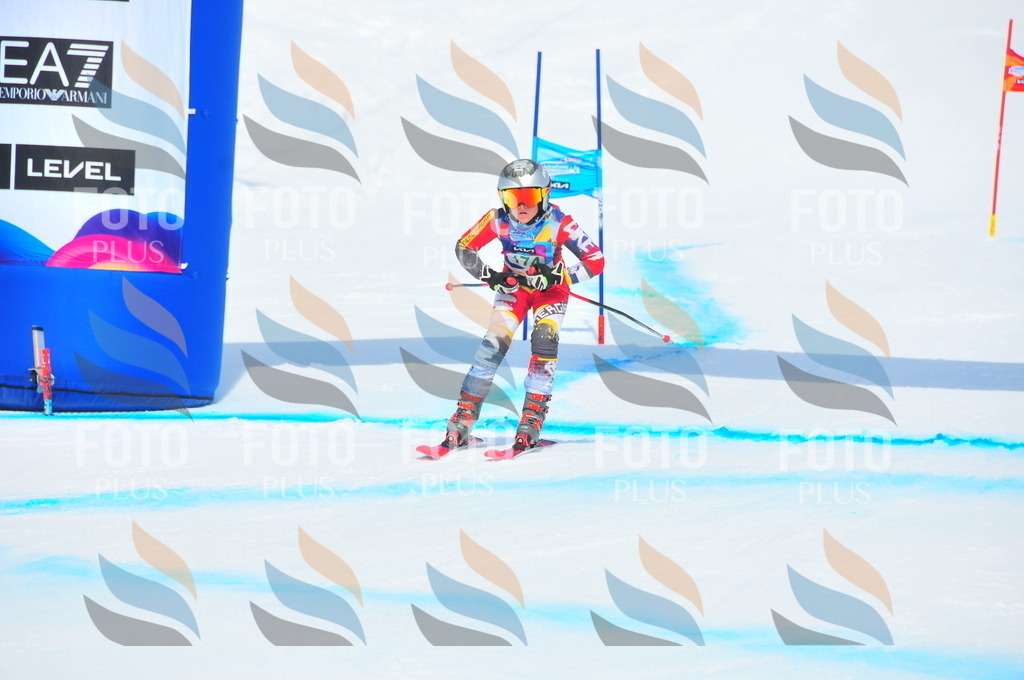 DSC_1579 | holidayphoto