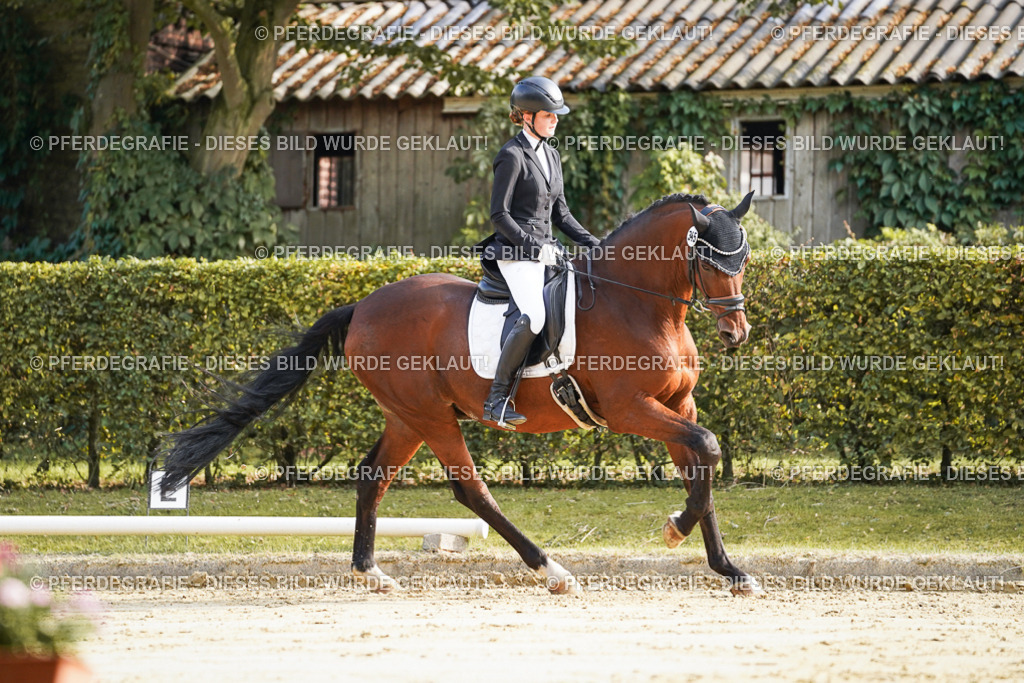 DSC05665 | Pferdegrafie