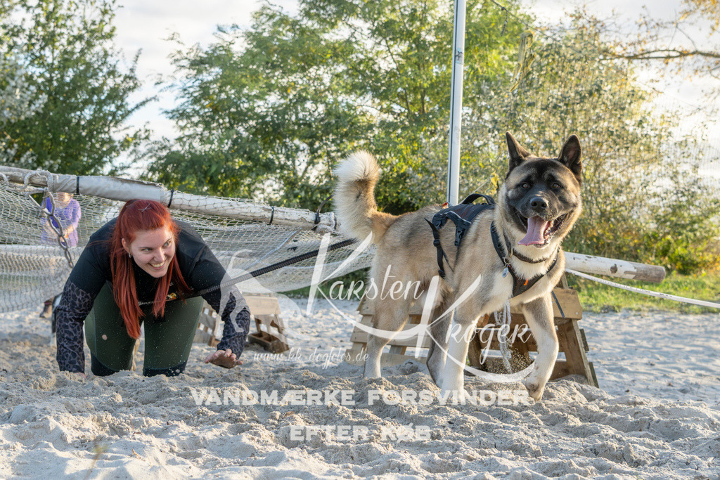 1641_ZZ98581 | kk-dogfotos