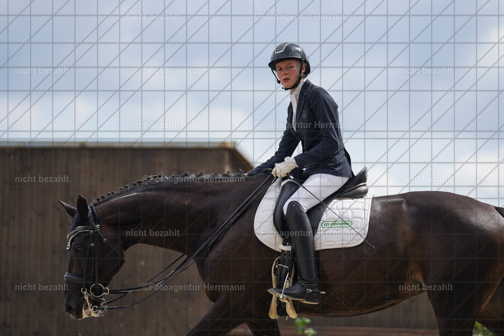 20230826-FAH05876 | Forstinning, 2023, Dressurturnier, Turniersportbilder, Turnierfotografen Bayern, Fotoagentur Herrmann, Reitsportfotografie, Turnierbilder
