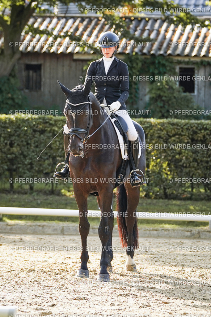 DSC05561 | Pferdegrafie