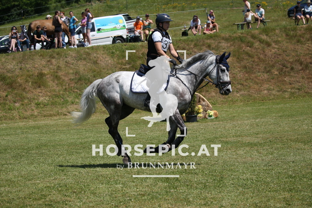DL2Q0517 | Willkommen bei Brunnmayr - Design & Fotografie – Ihrem Spezialisten für Reitturniere und Pferdeveranstaltungen in Oberösterreich, Salzburg und Bayern! Seit über 17 Jahren sind wir leidenschaftlich dabei.