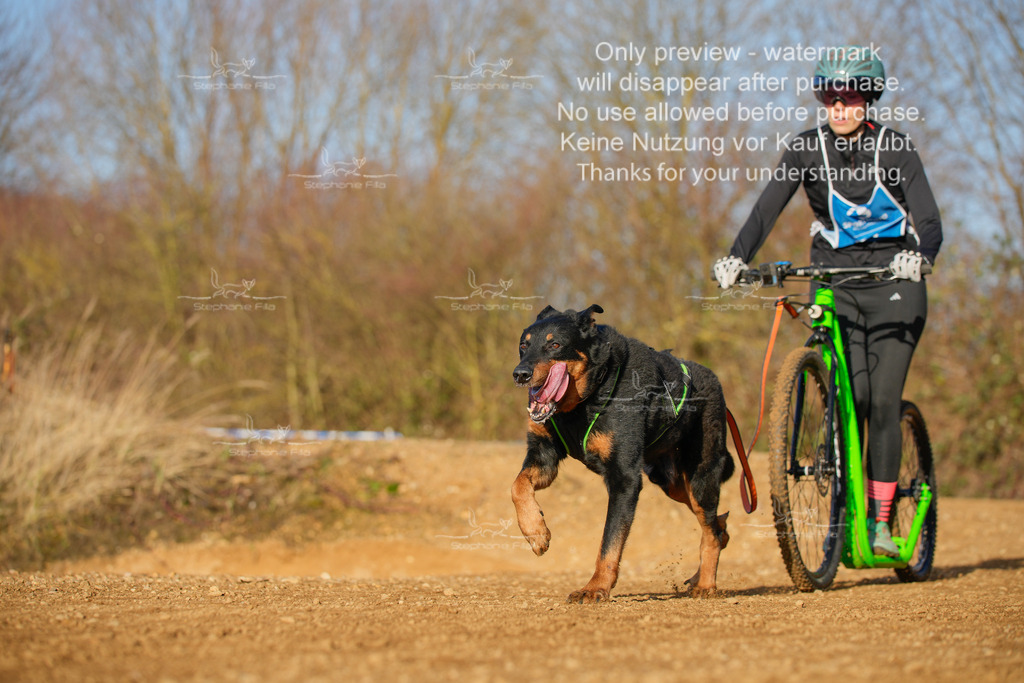 So_DVGBSP2025_Scooter (225 von 286) | stephaniefillaphotographie - Realisiert mit Pictrs.com