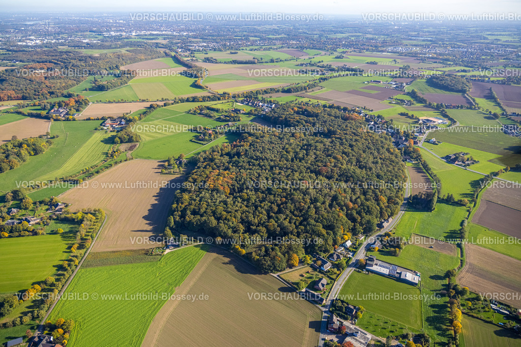 Kamp-Lintfort221004606 | Luftbild, Rayener Berg Landschaftsschutzgebiet, Waldgebiet, Wiesen und Felder, Kirchhof, Kamp-Lintfort, Niederrhein, Ruhrgebiet, Nordrhein-Westfalen, Deutschland