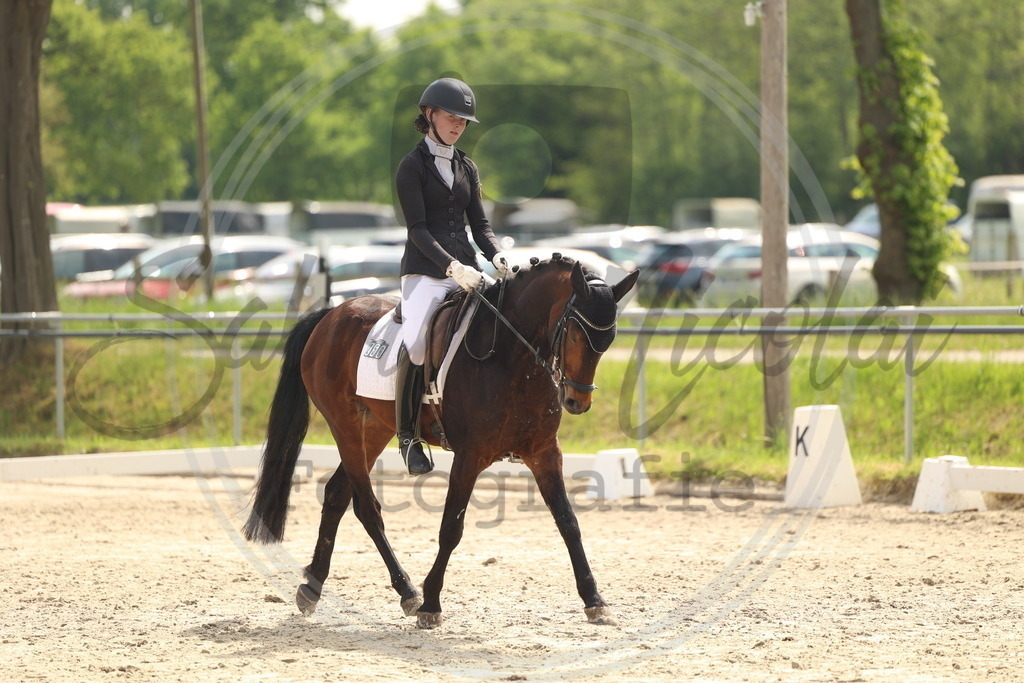 994A6840 | sabrinanicolaifotografie - Realisiert mit Pictrs.com