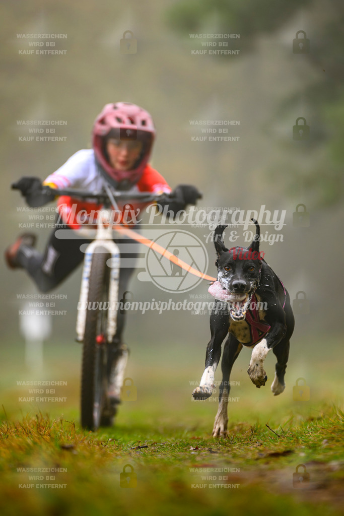 MompixPhotography_Bischwiller2025_Scooter-46 | mompixphotography