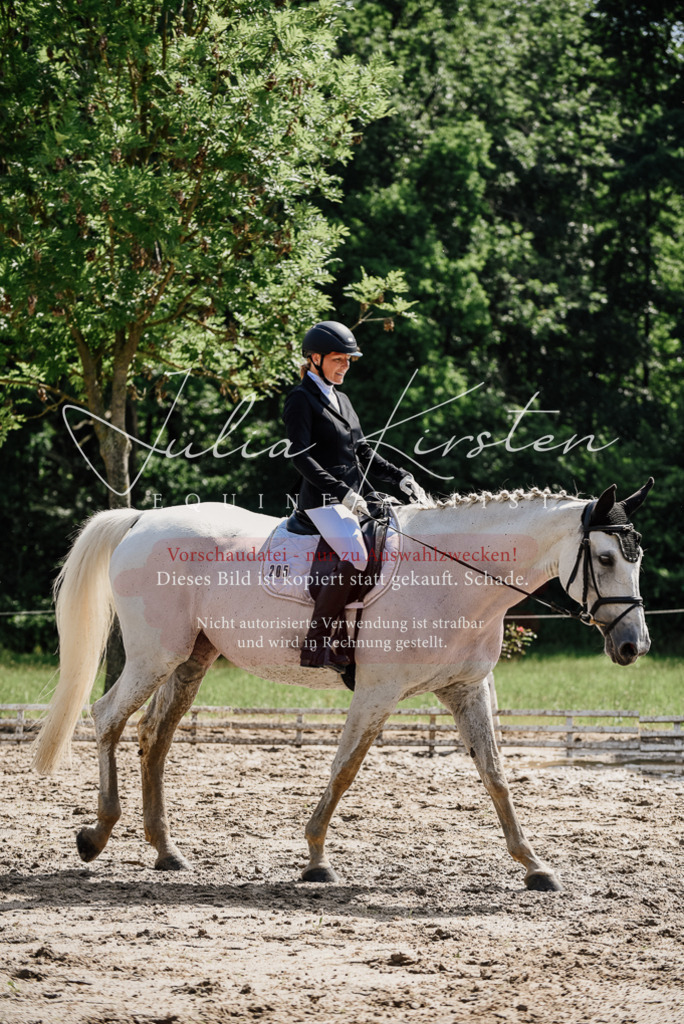 DSC_0414 | Pferde- und Turnierfotografie in Westsachsen. Pferdeportraits, Auftragszeichnungen und intuitive Kunst.