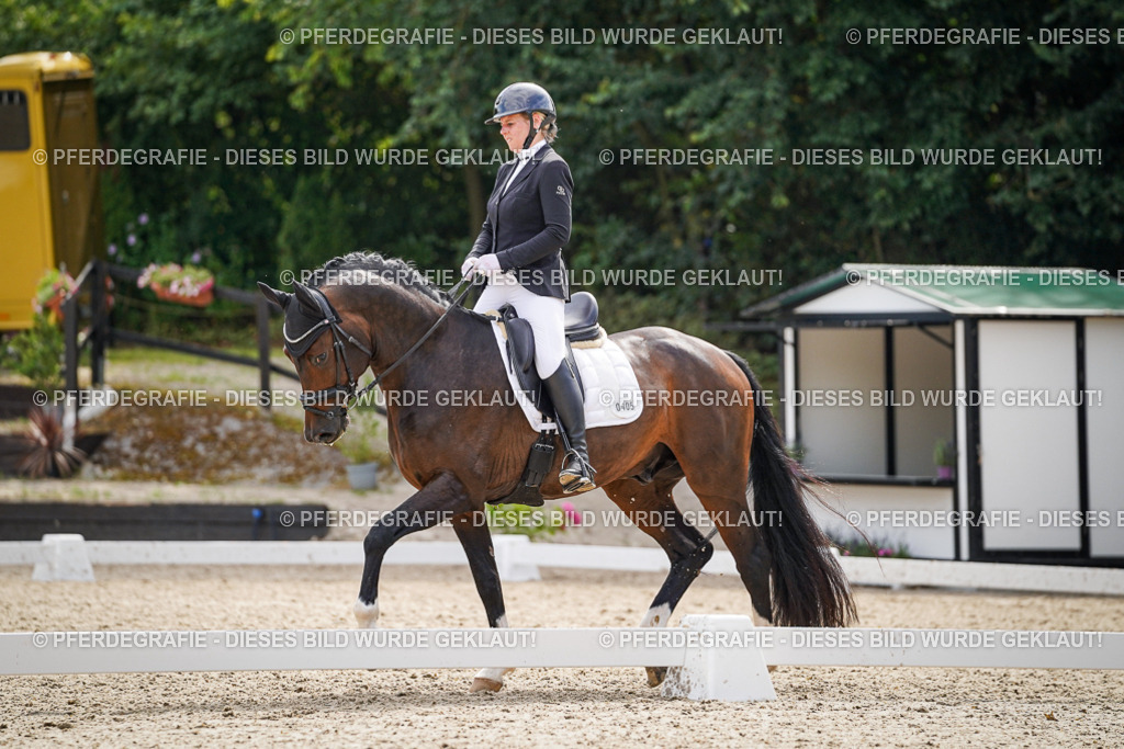 DSC07932 | Pferdegrafie