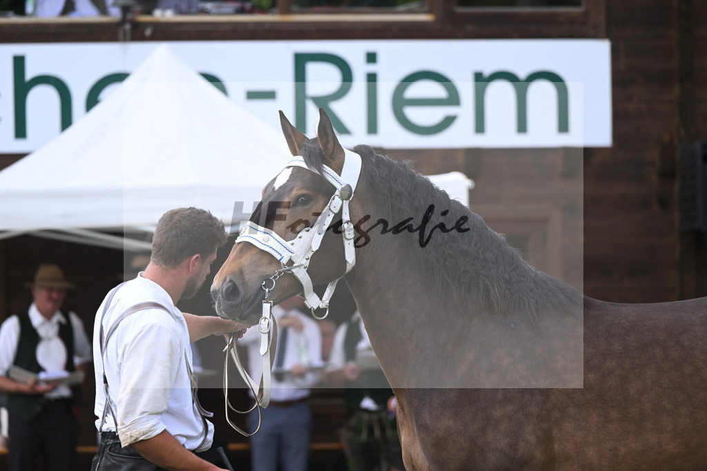 Kat-Nr. 67 Thea_Egger_20231092 | hf-fotografie - Realisiert mit Pictrs.com