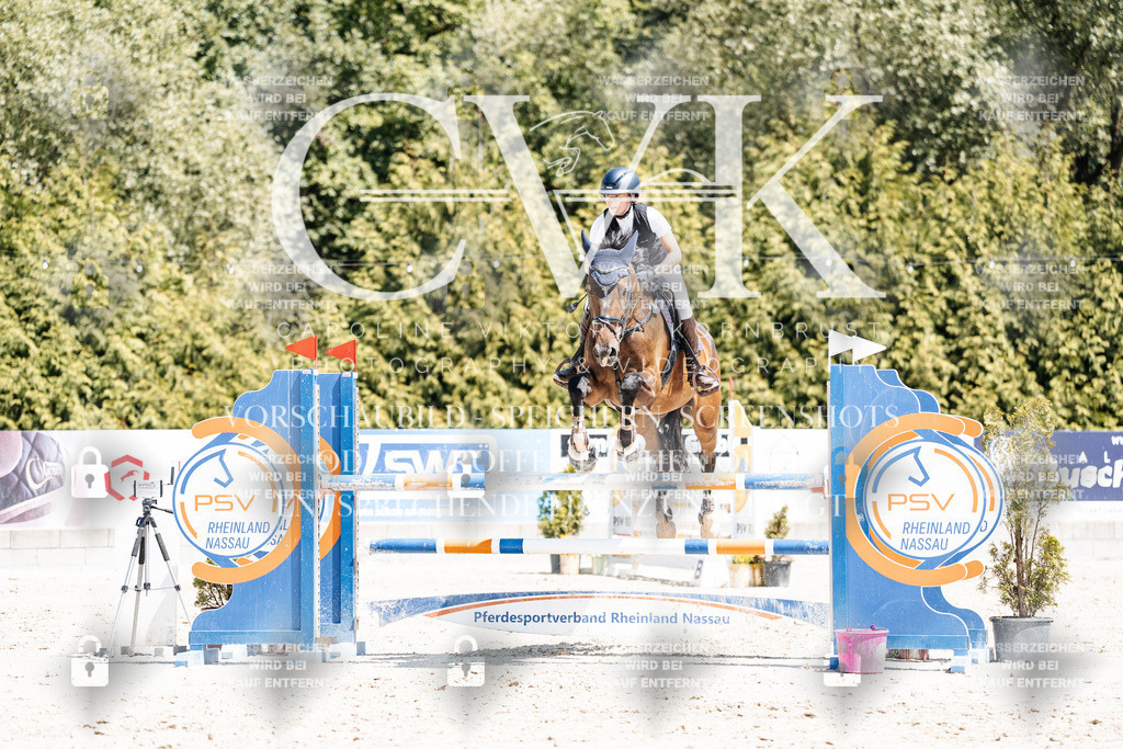 CK900387 | Turnierfotografie Pferdefotografie Trier Rheinland-Pfalz Pferdesport Reitsport Tierfotografie Sportfotografie Pferdevideo Pferdevideografie Equestrianvideography equestrianphotography  - Realisiert mit Pictrs.com
