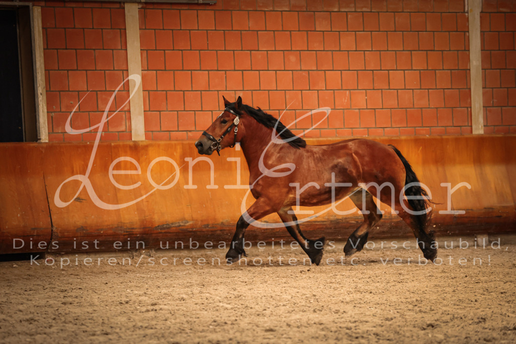 SaFL00150 | Leoni Ertmer Photography - Realisiert mit Pictrs.com