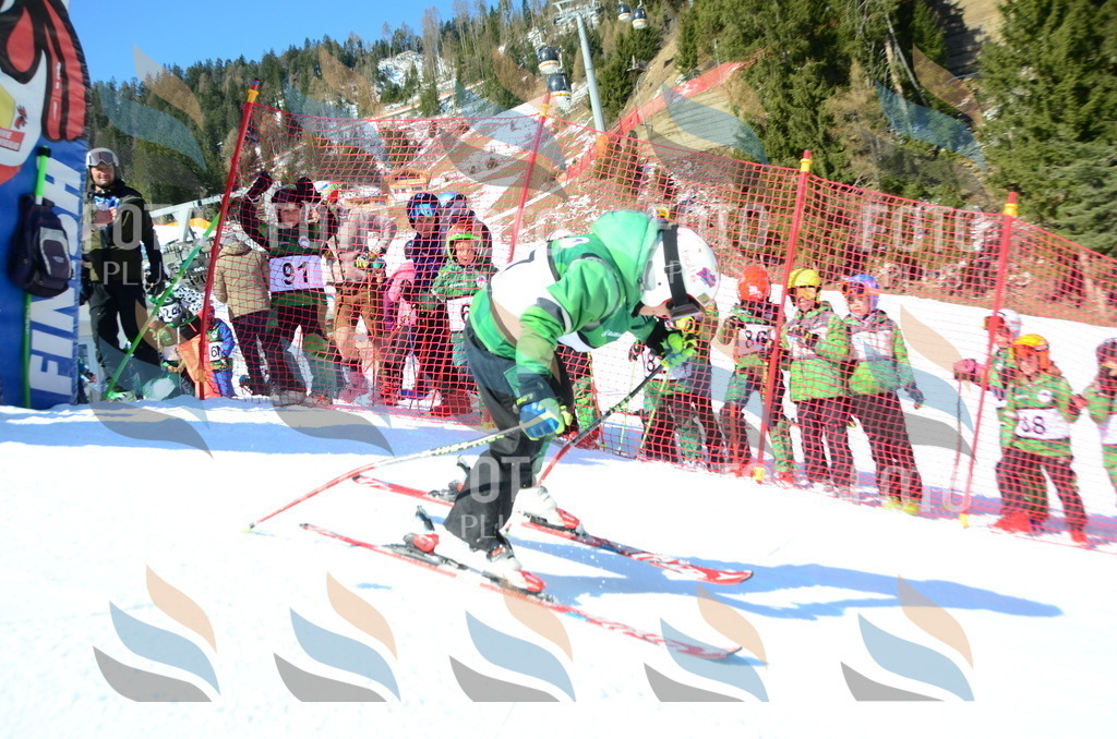 C5135 | holidayphoto