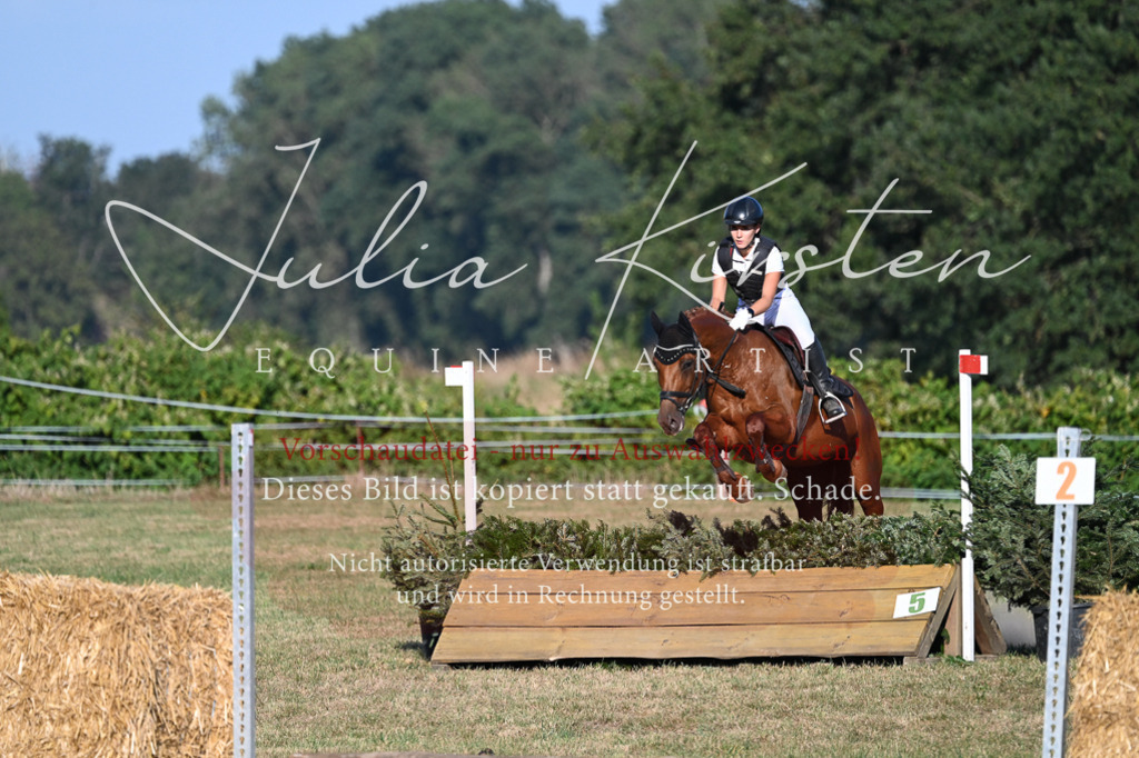 DSC_9054 | Pferde- und Turnierfotografie in Westsachsen. Pferdeportraits, Auftragszeichnungen und intuitive Kunst.