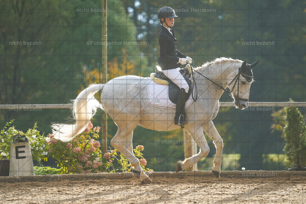 20221008-FAH00806 | Diessen am Ammersee, 2022, Dressur- und Springturnier, Reitsportbilder, Turnierfotografen Bayern, Pferdefotografen, Fotoagentur Herrmann, Turnierbilder