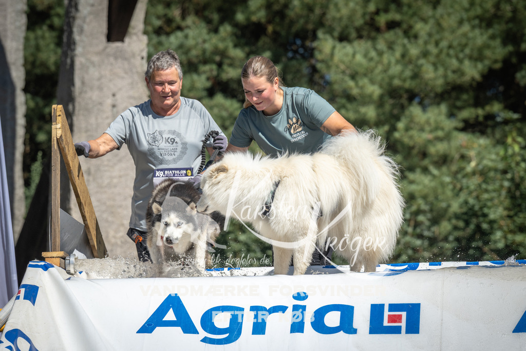 1316_ZZ99393 | kk-dogfotos