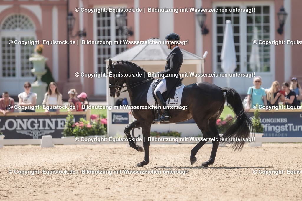 20230528_03_GP-Special-Tour_0224 | equistock