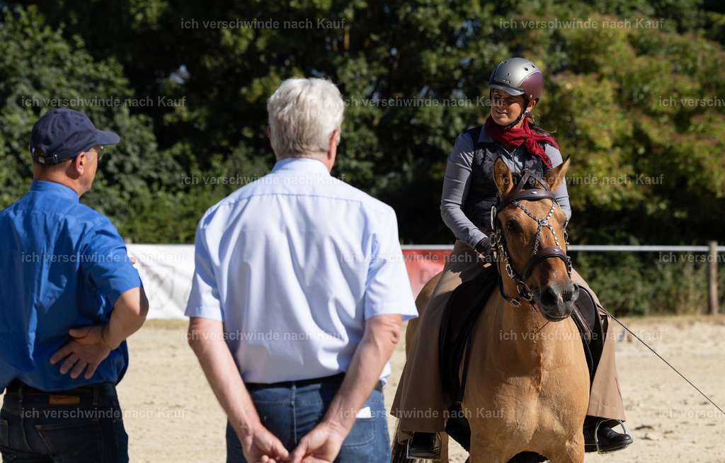 WA_Trail_125_KerstinBernhardt-15 | working equitationturnier fotograf videograf stoibphotography marixx film working equitation deutschland reitsport turnierfotografie eventfotografie equestrian events