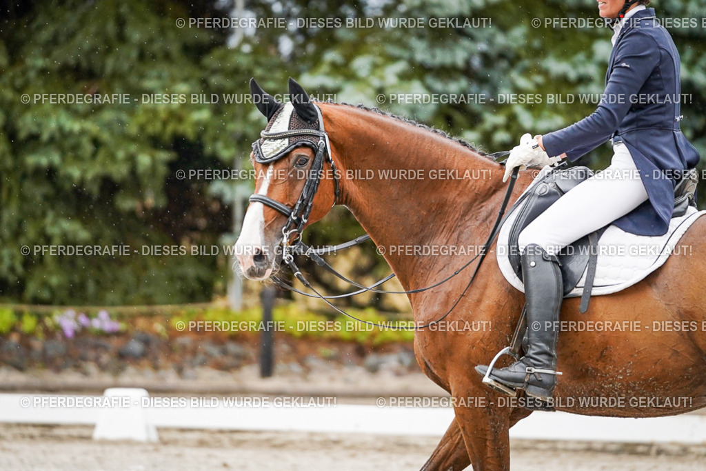 DSC08704 | Pferdegrafie