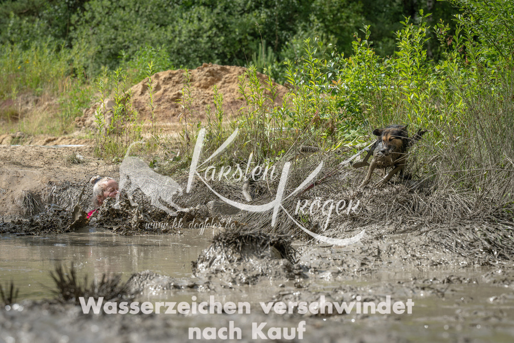 1044_ZZ94150 | kk-dogfotos