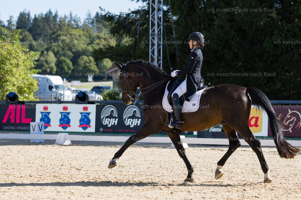 FHC2026_P07_88_17601 | working equitationturnier fotograf videograf stoibphotography marixx film working equitation deutschland reitsport turnierfotografie eventfotografie equestrian events