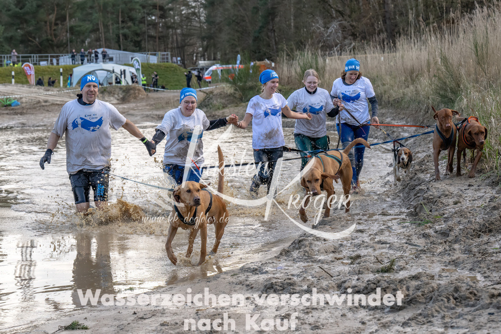 1641_ZZ93614-Bearbeitet | kk-dogfotos