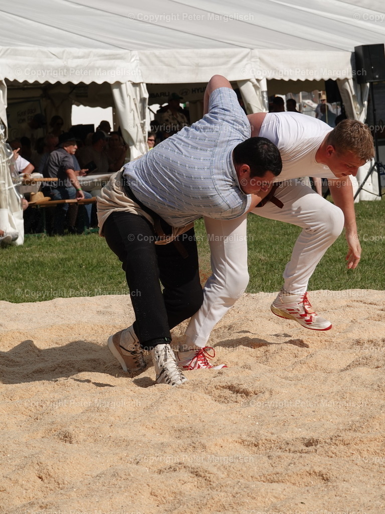 DSC05175 | Schwingen - Realisiert mit Pictrs.com