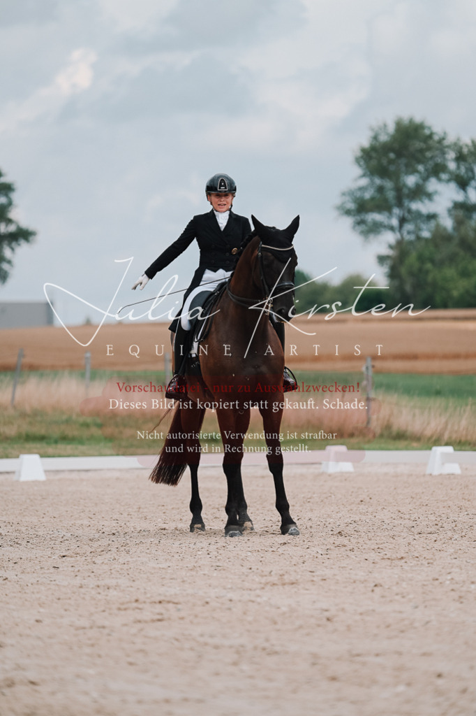 DSC_4191 | Pferde- und Turnierfotografie in Westsachsen. Pferdeportraits, Auftragszeichnungen und intuitive Kunst.