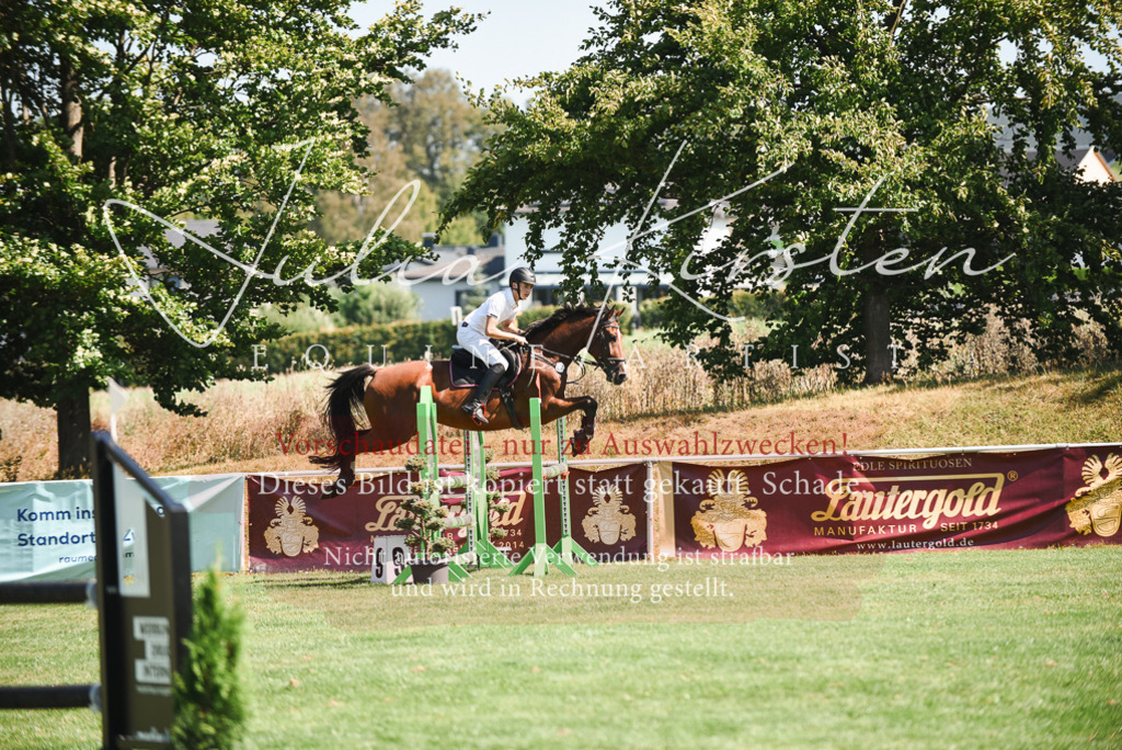 DSC_2817 | Pferde- und Turnierfotografie in Westsachsen. Pferdeportraits, Auftragszeichnungen und intuitive Kunst.