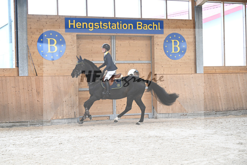 Adzaro de L Abbaye B_7240586 | hf-fotografie - Realisiert mit Pictrs.com