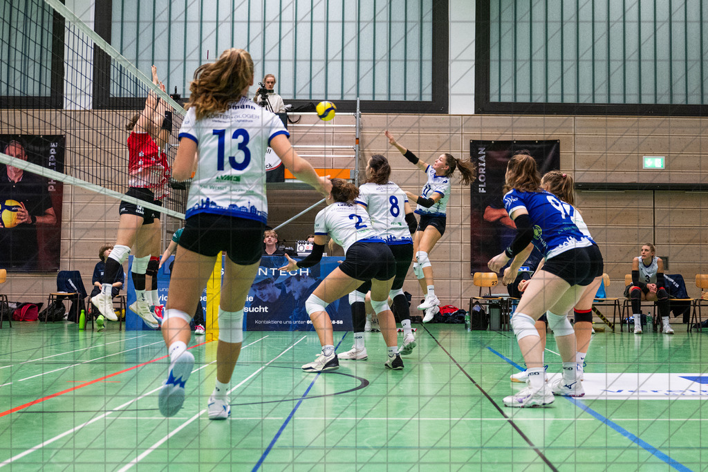 2. VBLF Nord 25/26 | Spiel 4029 | VC Osnabrück vs. SV Energie Cottbus | //  15.11.25: 2. VBLF Nord 25/26 | Spiel 4029 | VC Osnabrück vs. SV Energie Cottbus / Osnabrück / Deutschland  //   CREDIT:www.bullenfotos.de, Martin König, Hörner Weg 40, D-49078 Osnabrück, +4917663732967 // Nutzung und Weitergabe nur zu den vereinbarten Zwecken. Presseanfragen an Ersteller. Alle Rechte beim Ersteller. Honorierung nach MFM. - Realisiert mit Pictrs.com