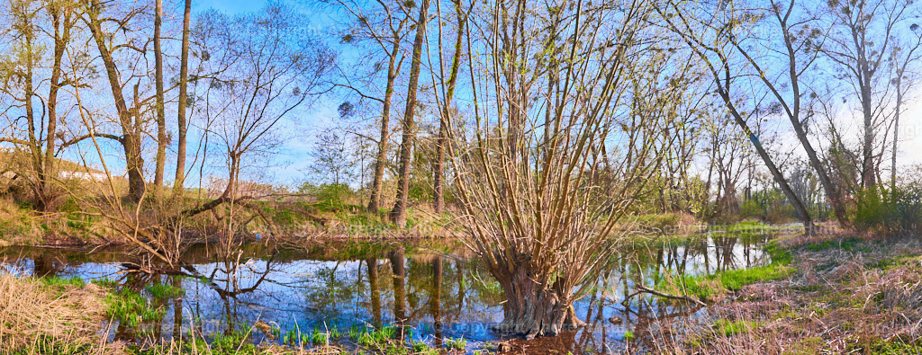 Am Altarm der Weißen Elster zwischen Bad Köstritz und Caaschwitz 02 | Bedeutsame Landschaften Deutschlands - Realisiert mit Pictrs.com