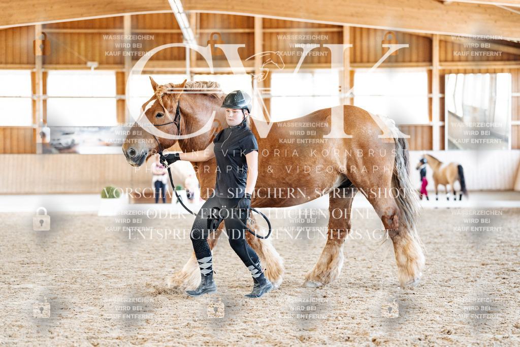 CK907267 | Turnierfotografie Pferdefotografie Trier Rheinland-Pfalz Pferdesport Reitsport Tierfotografie Sportfotografie Pferdevideo Pferdevideografie Equestrianvideography equestrianphotography  - Realisiert mit Pictrs.com