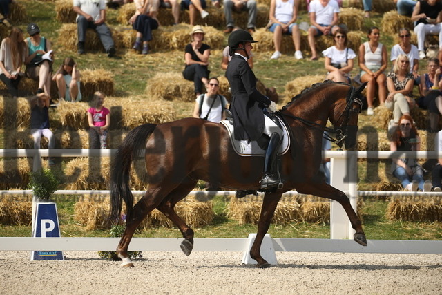 Birkhof_2022_GrandPrixSpecial_Martina Steisslinger_Favory A.S (6) | Alle Fotos der Reiterjournal Fotografin Doris Matthaes im Reiterjournal Online-Fotoshop. - Realisiert mit Pictrs.com