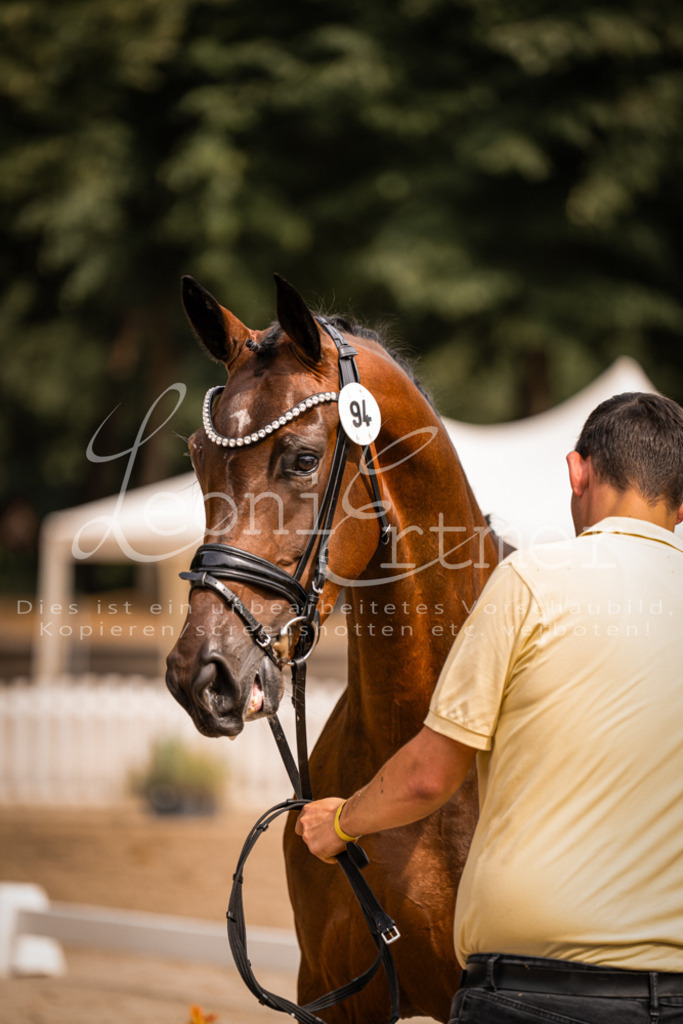 6.Fr00169 | Leoni Ertmer Photography - Realisiert mit Pictrs.com