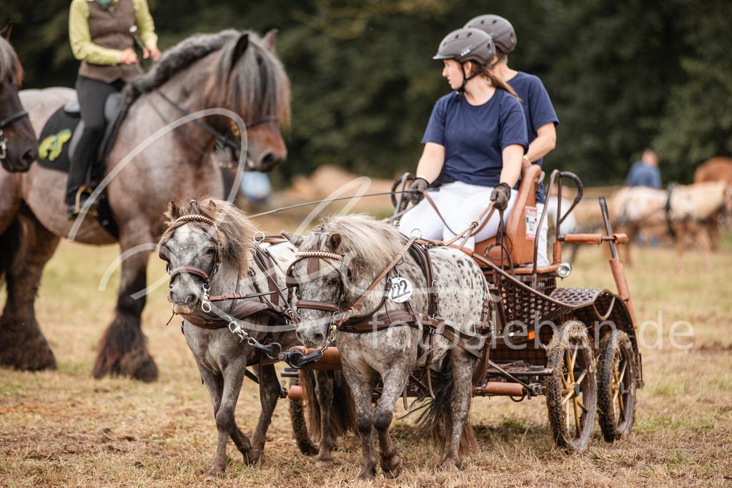 846A3692 | fotosleben - Realisiert mit Pictrs.com