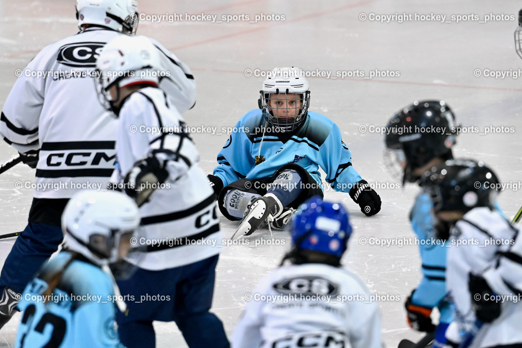 ESC Steindorf vs. EHC Althofen | ESC Steindorf Nachwuchs, ESC Steindorf vs. EHC Althofen, ESC Steindorf vs. EHC Alhofen am 03.03.2024 in Steindorf (Ossiachersee Halle), Austria, (Photo by Bernd Stefan)