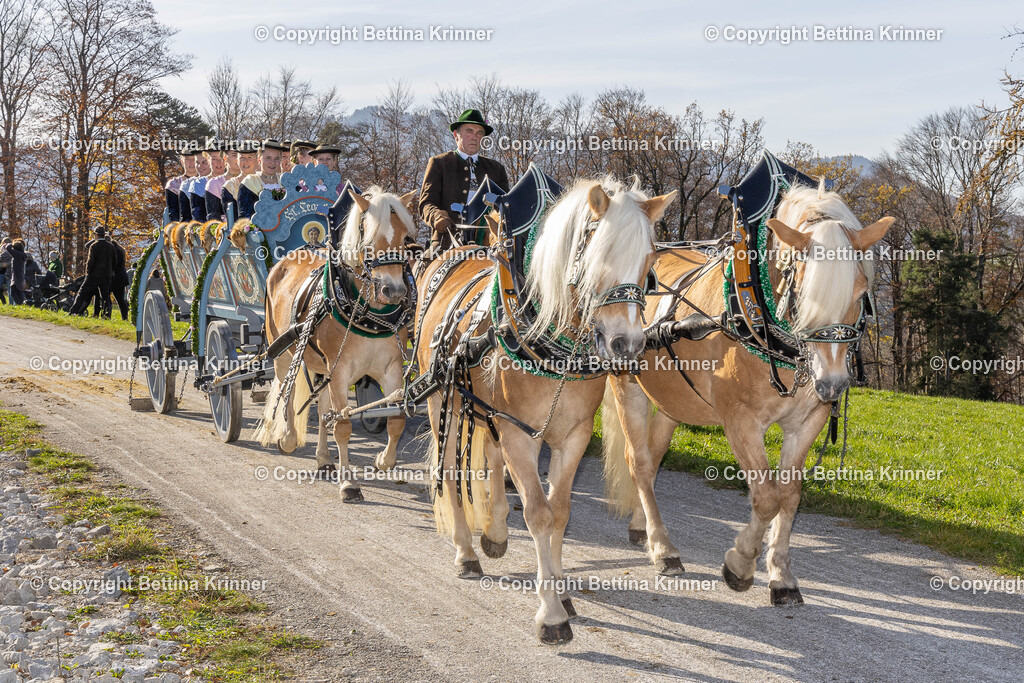 LBT24-1523 | foto-bettina-krinner - Realisiert mit Pictrs.com