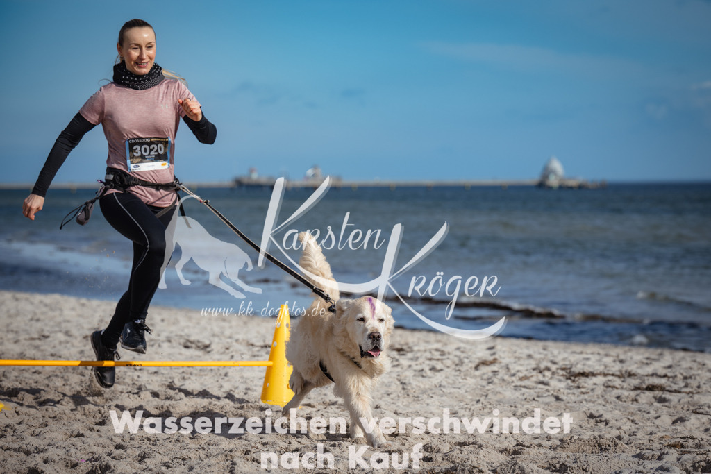 1345_ZZ93164 | kk-dogfotos