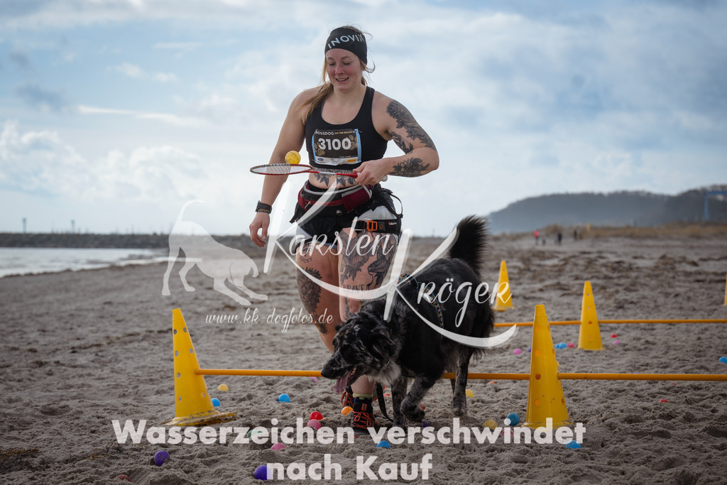 1228_ZZ96823 | kk-dogfotos