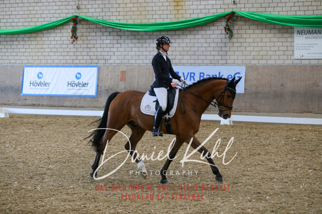 IMG_2593 | Turnierfotos kaufen im Webshop von Daniel Kuhl Photography – entdecke professionelle Reitsportfotos aus Turnieren & Events. Hochwertige Turnierbilder online bestellen & sichern. Jetzt Fotos von Reitsportturnieren kaufen!