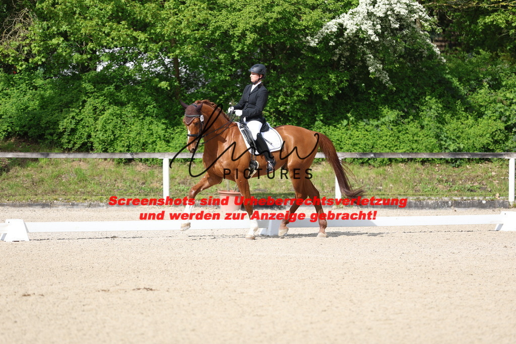 A40A3944 | lmwpictures - Realisiert mit Pictrs.com