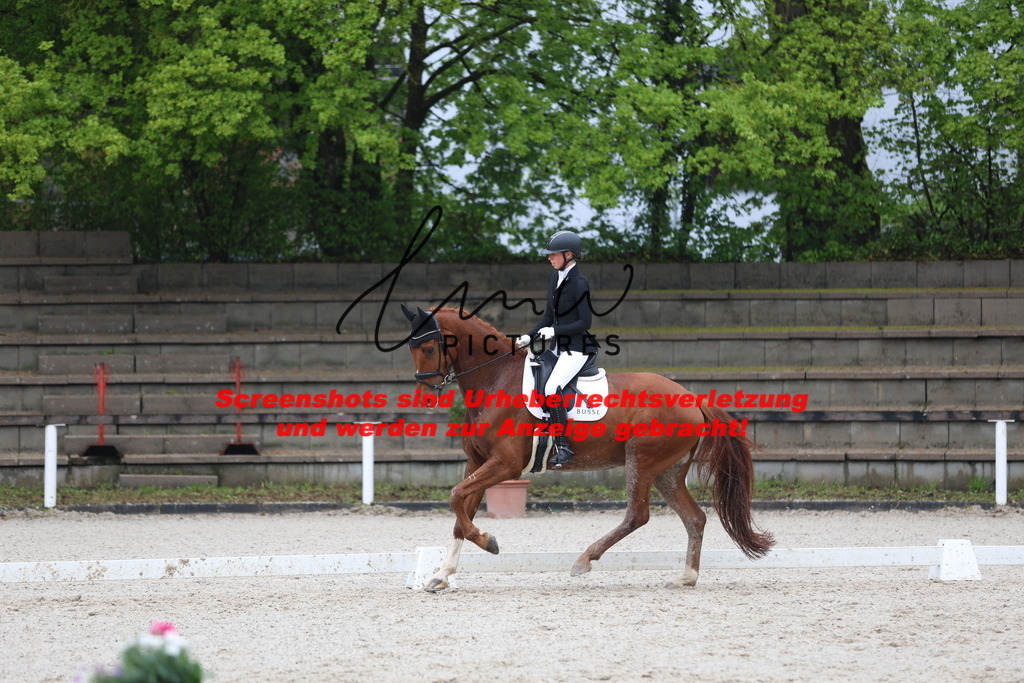 A40A8282 | lmwpictures - Realisiert mit Pictrs.com