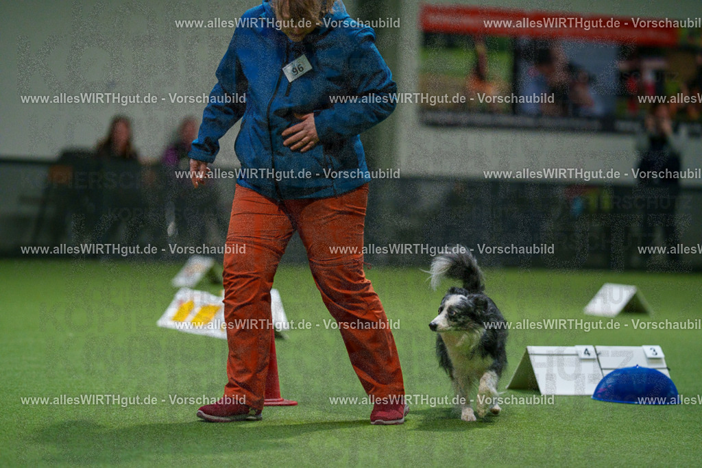 7R504472 | Professionelle Tierfotografie in Mönchengladbach von Daniel Wirth (allesWIRTHgut). Liebevolle & natürliche Bilder von Hunden & Katzen für unvergessliche Erinnerungen.